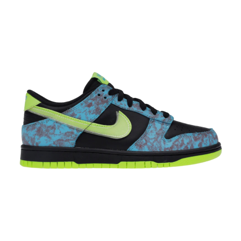 Nike Dunk Low Acid Wash (GS)