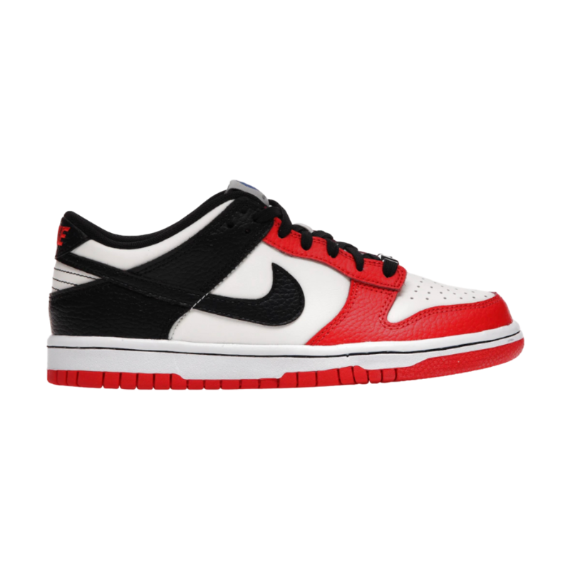Nike Dunk Low EMB 75th Anniversary Chicago (GS)