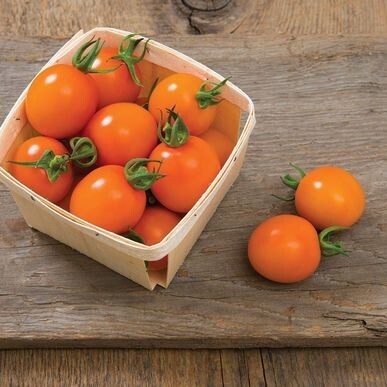 Clementine