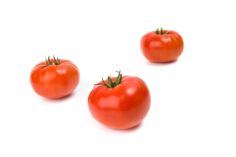 Tomate de serre