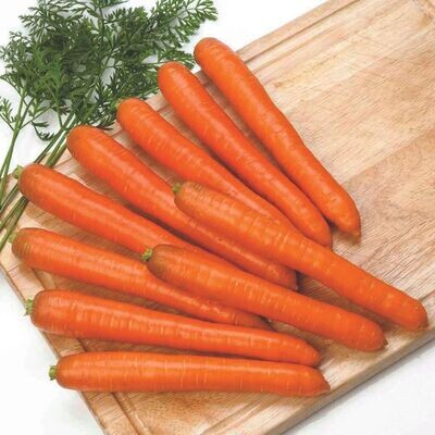 Carrot