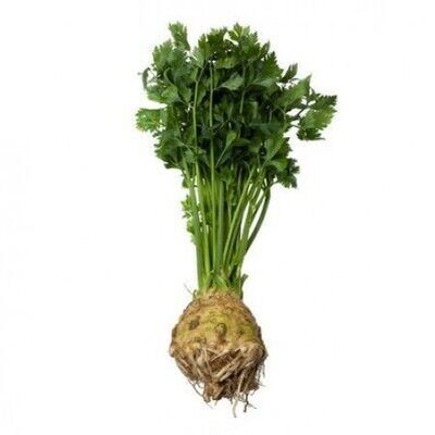 Celeriac