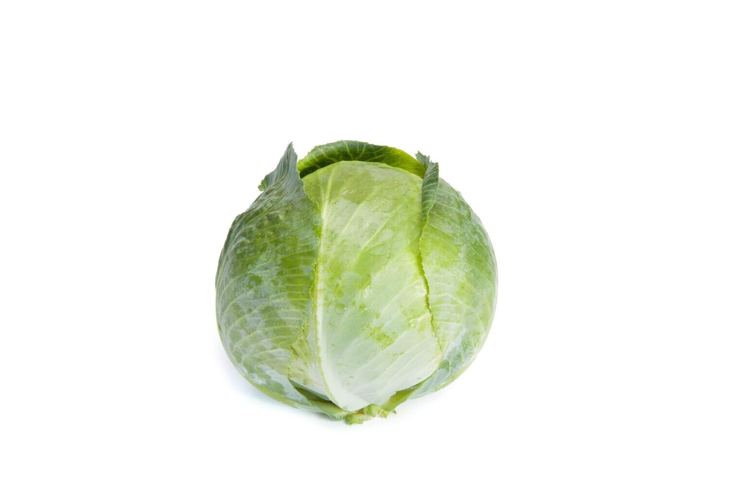 Flexima