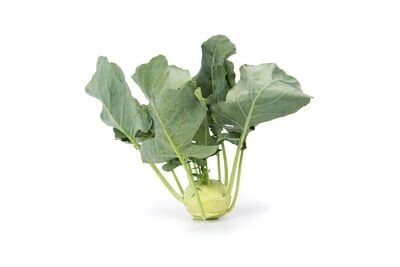 Kohlrabi