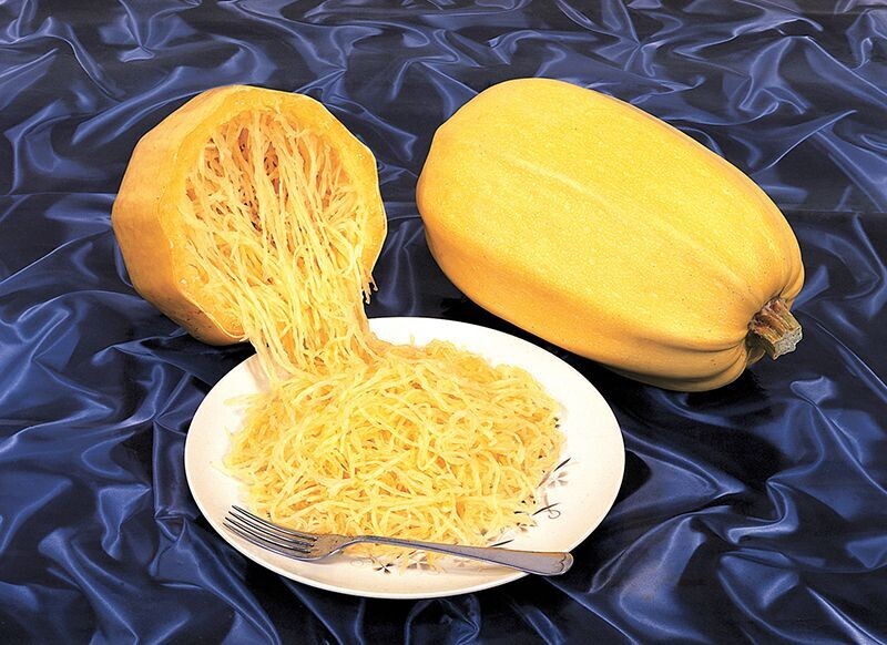 Spaghetti Végétal