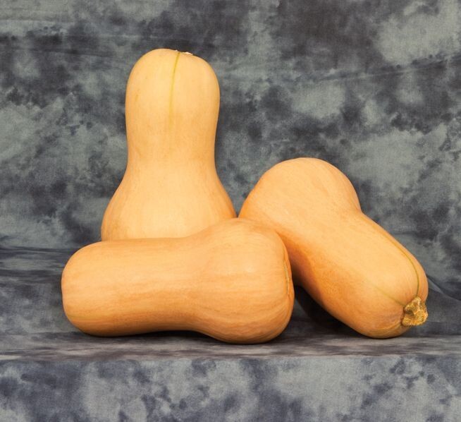 Butternut 900