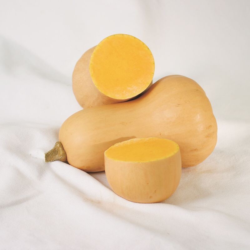 Butternut 401