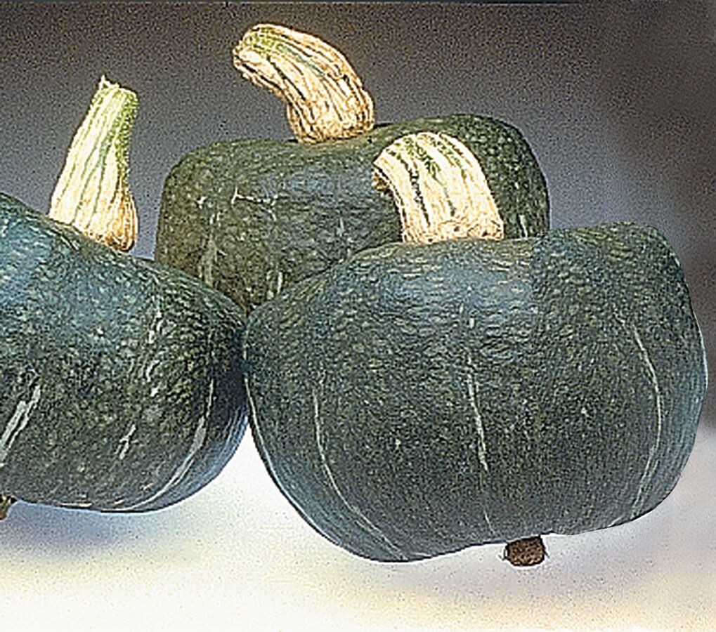 Autumn cup