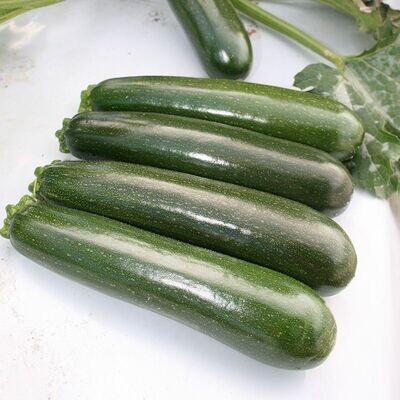 Squash, summer