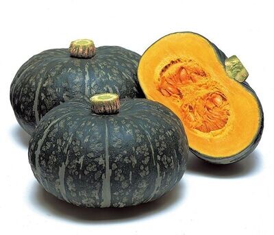 Squash, winter