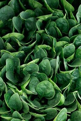 Spinach