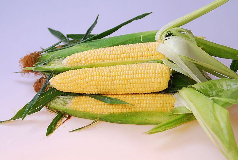 Gold Standard (Maïs)