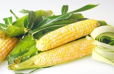 Sweet corn