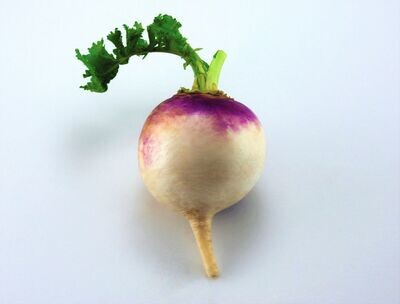 Turnip