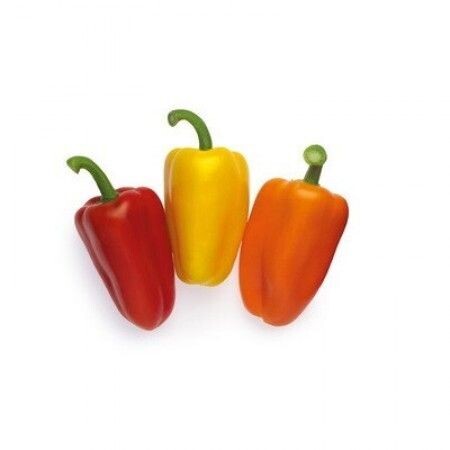 Triyellow