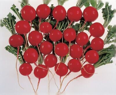 Red Silk