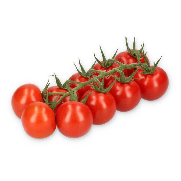 Rexoso