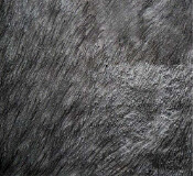 Metallic Colors, Colour: Black Onyx
