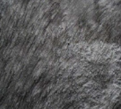 Pigments