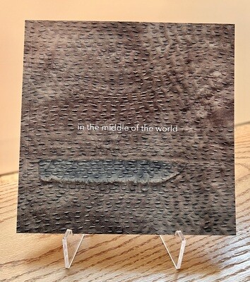 In the Middle of the World Catalogue - Martin, Berens, Bouchard