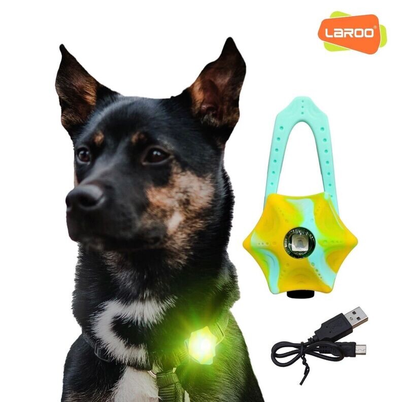 Star Led for Pet