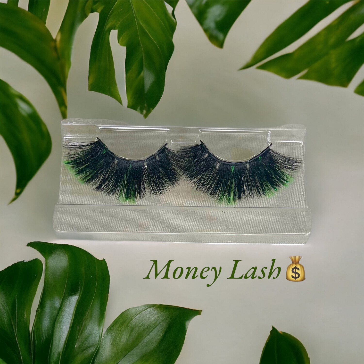 Money lash 💰