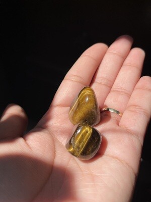 Tigers Eye Tumble