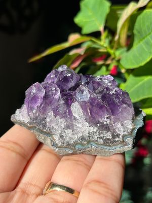 Amethyst Cluster - you pick