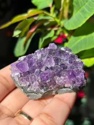 Amethyst Cluster - you pick