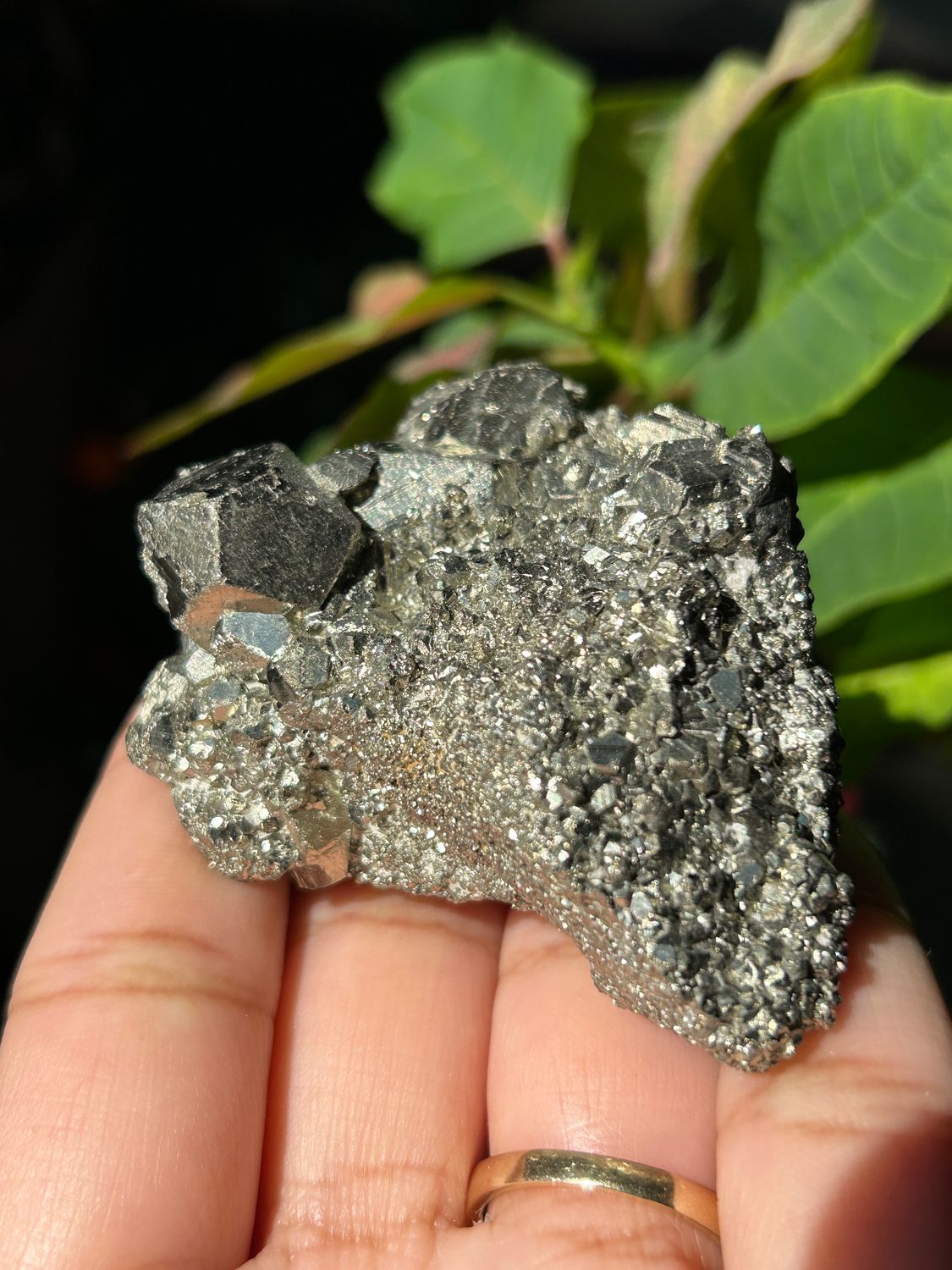 Pyrite Cluster - you pick