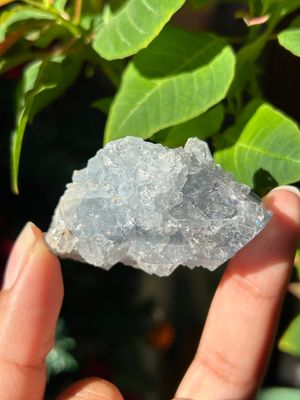 Celestite Cluster - you pick