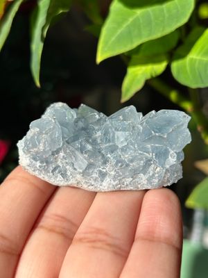 Celestite Cluster - you pick