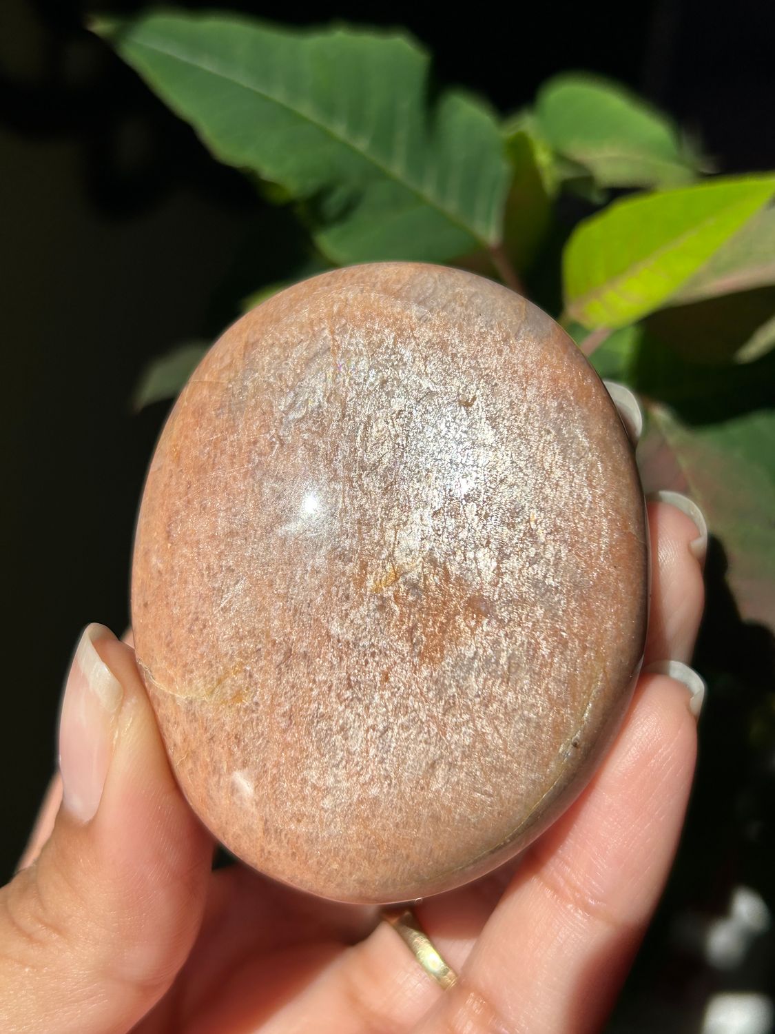 Peach Moonstone Palm Stone - you pick