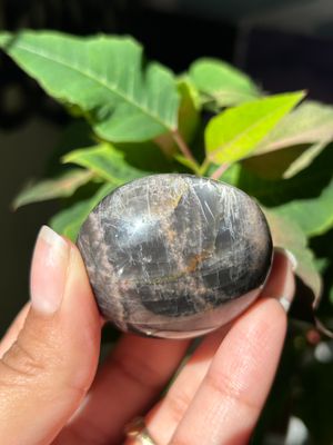 Black Moonstone Palm Stone - you pick