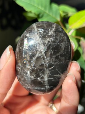 Black Moonstone Palm Stone - you pick