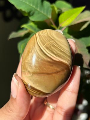 Polychrome Jasper Palm Stone - you pick