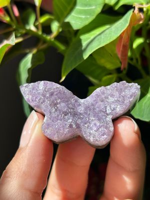 Amethyst Butterfly Carving - you pick