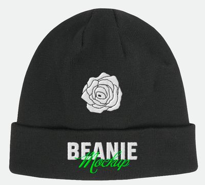 Beanie Embroidery Hats