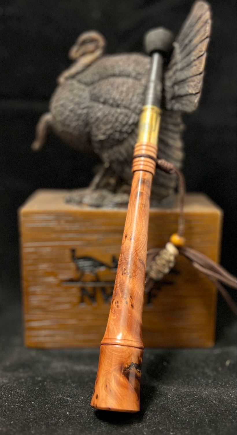 Thuya Burl