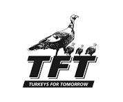 TFT