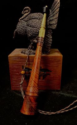 Crosscut Desert ironwood