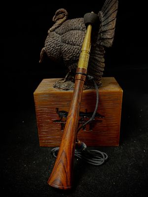 Desert ironwood