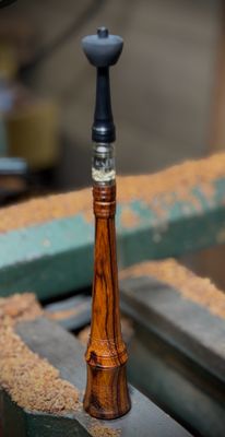 Desert Ironwood