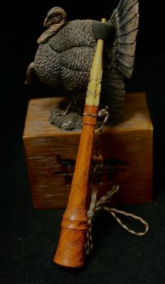 Desert Ironwood