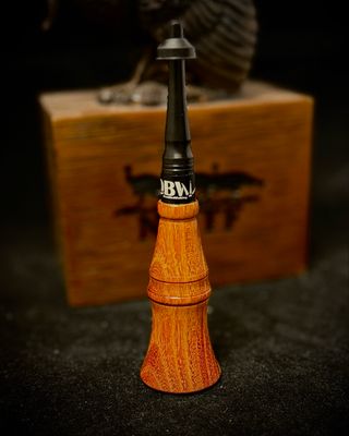 Osage Orange
