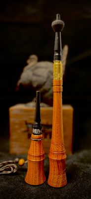 Osage Orange Trumpet And Shorty