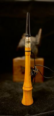 Osage Orange