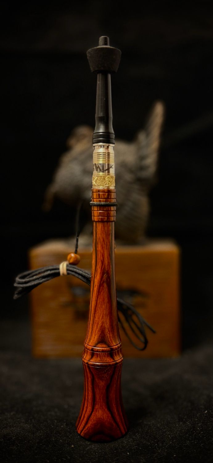 Desert Ironwood