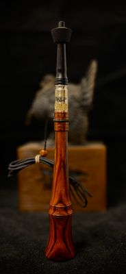 Desert Ironwood