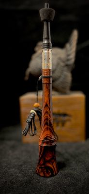 Desert Ironwood Burl